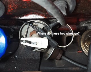 Super 226, distributor.jpg