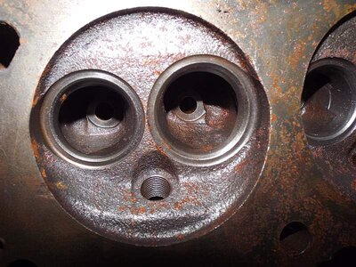 SLANT HEAD OPEN SMILE.jpg