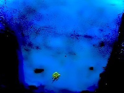 IMG_4874.jpg