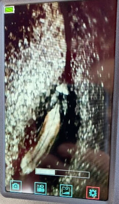 Screen Shot 2021-09-27 at 5.34.01 PM.jpeg