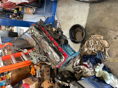 ToadRacer Slant 1.5 removed.jpg