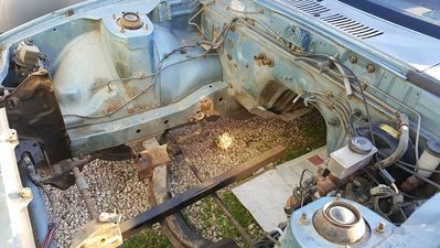 20180629_201021_resized.jpg