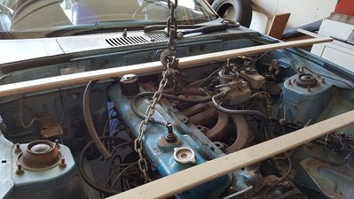 20180704_142659_resized.jpg