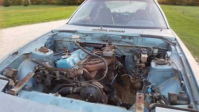 20180712_212018_resized.jpg