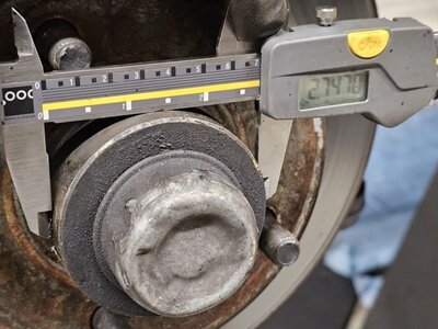 20240211_164351 Medium.jpeg