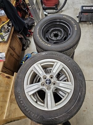 20240211_165849 Medium.jpeg